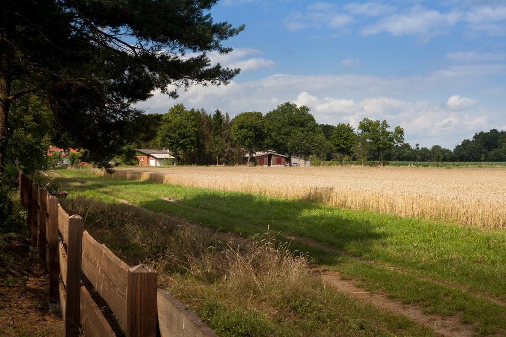 Meißendorf Ferienhaus Heideland Winsen Allerヴィラ 部屋 写真