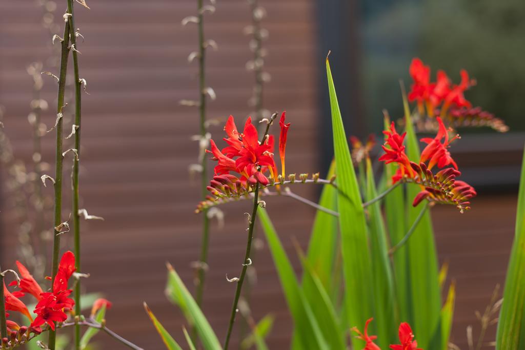 Meißendorf Ferienhaus Heideland Winsen Allerヴィラ 部屋 写真